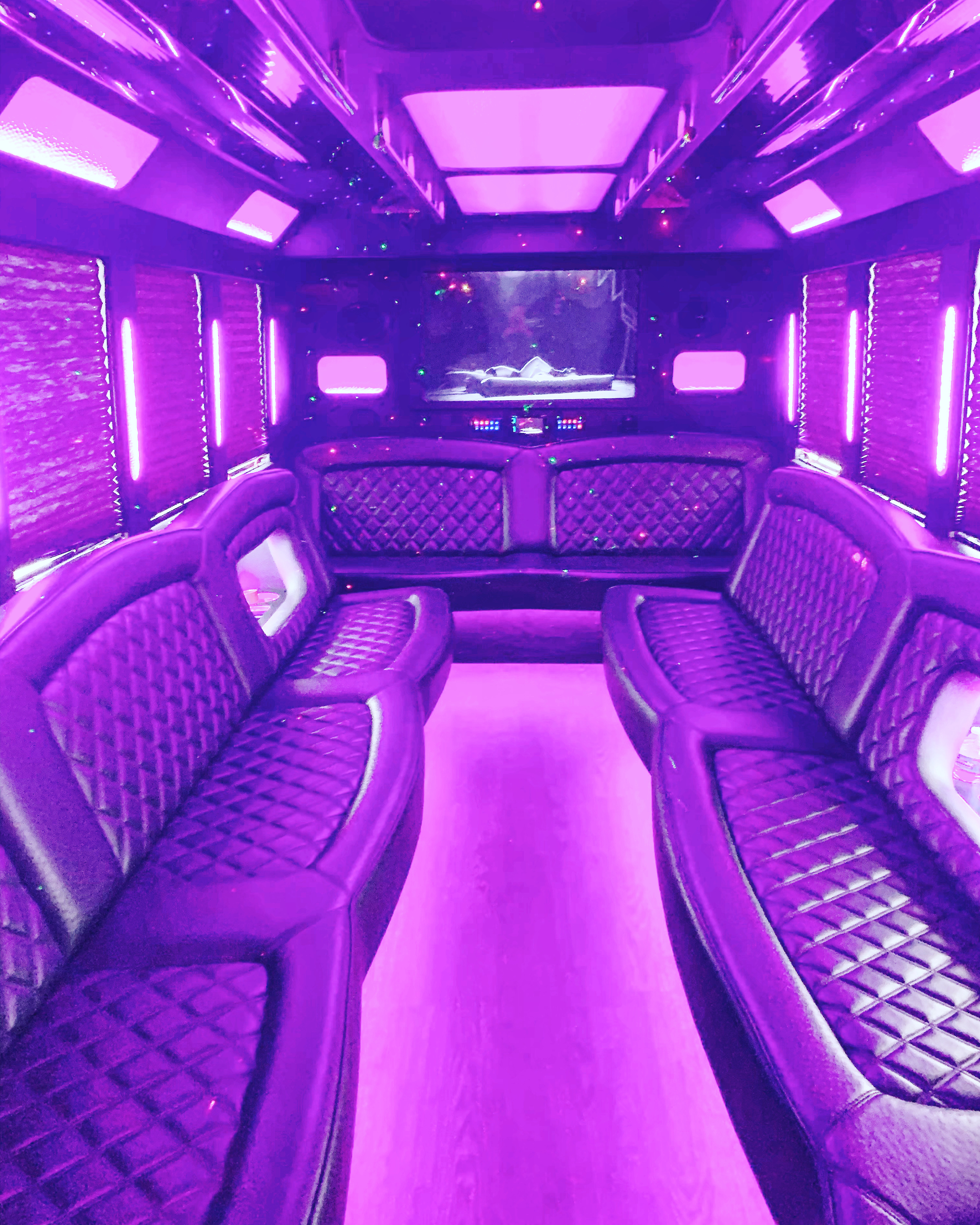 The Executive Party Bus Interior